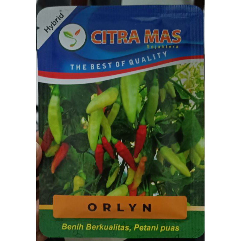 

Benih Cabe ORLYN 10gr Original CITRA MAS