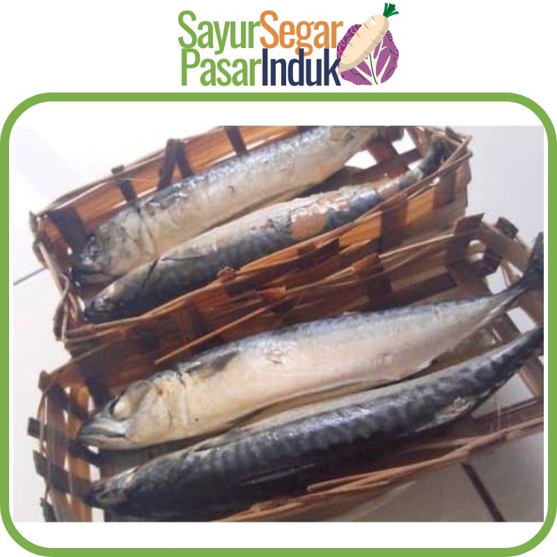 

pindang tongkol besar pindang marning pindang salem