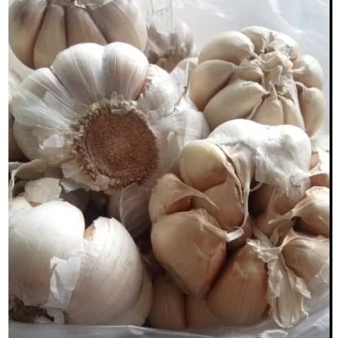 

DAYSTER.ID BAWANG PUTIH KERING - 1 KG