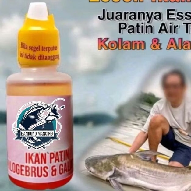 Essen ikan husus Ikan Patin Kolam Harian Dan Alam Liar Aroma Wangi Kuat, Essen Ikan Patin Liar, Esse