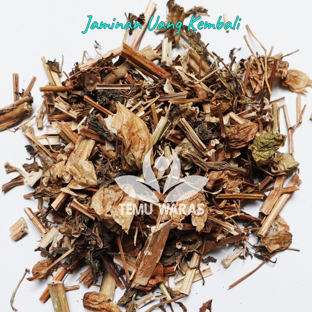 

Daun Ciplukan Kering 1kg Cecendet Bersih