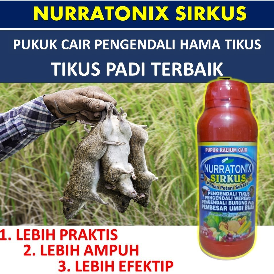 NURRATONIX SIRKUS 500 ML Racun Pembasmi Hama Tikus Paling Ampuh - Pupuk Cair Tromkus + Zat Pengatur 