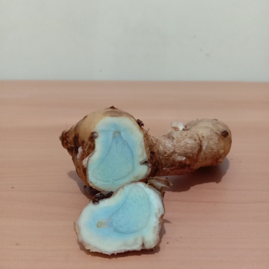 

TEMU HITAM MURAH DAN ASLI