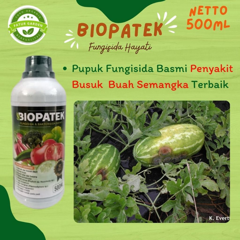 (DIJAMIN AMPUH) BIOPATEK 500ml Pupuk fungisida untuk mengatasi busuk buah semangka terbaik - Obat se