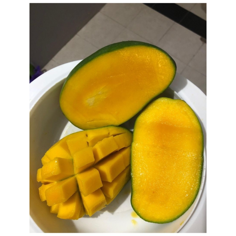 

mangga Harumanis Super