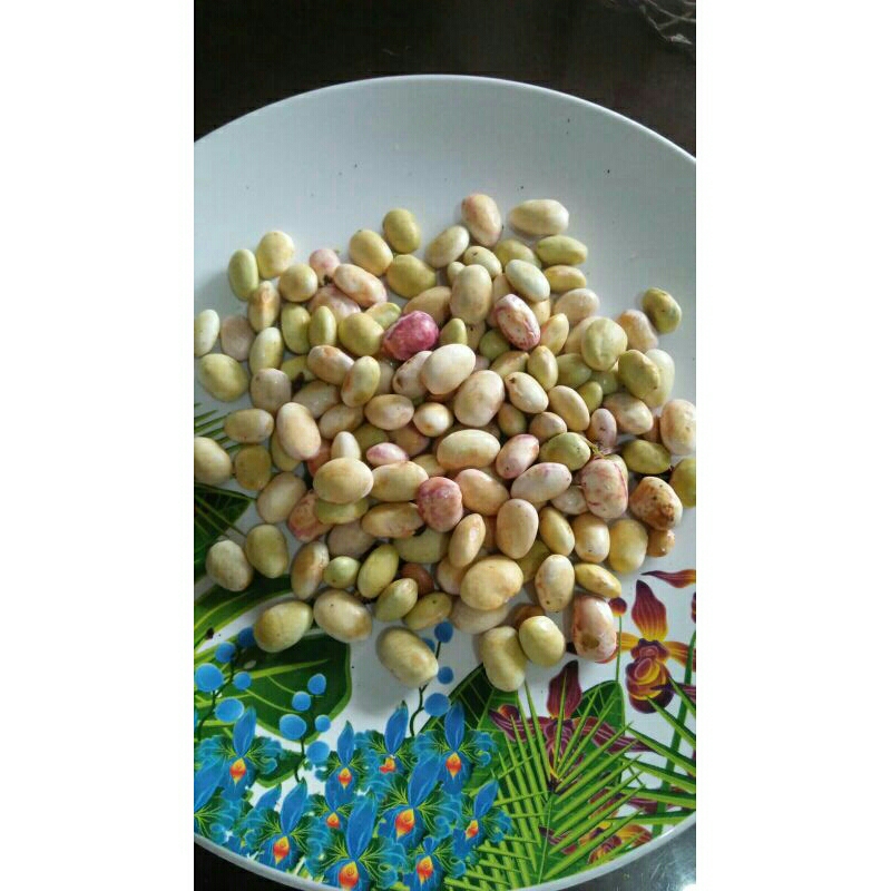

kacang endul