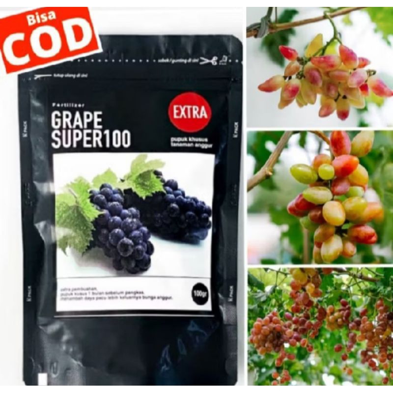 

PUPUK ANGGUR S GRAPE SUPER100 EXTRA