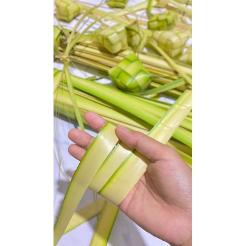 

cangkang ketupat per pcs