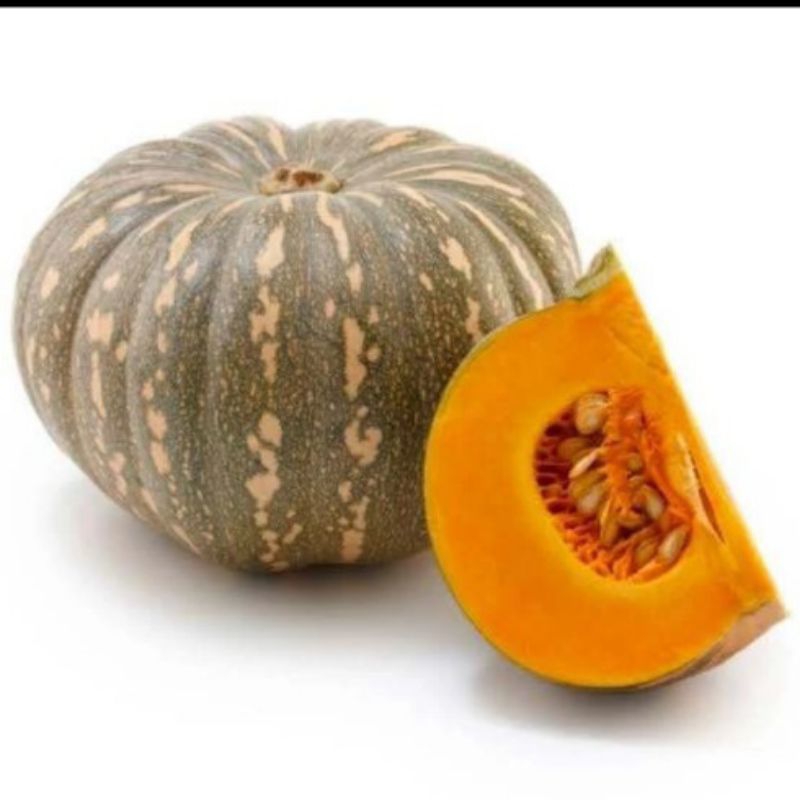 Bibit benih labu super 30 biji labu kuning