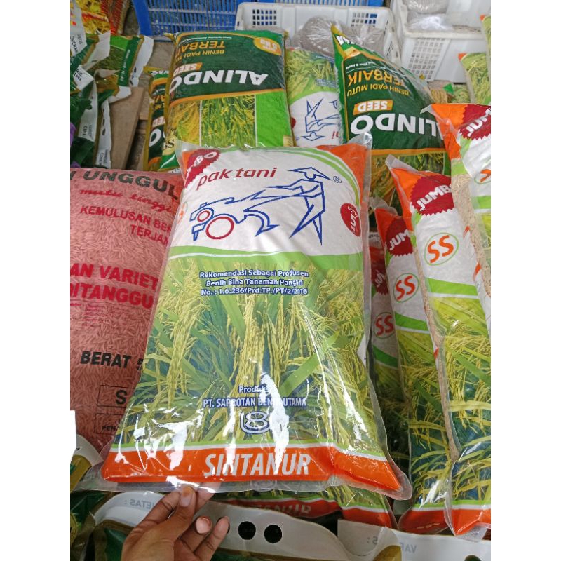 Benih Padi Sintanur SU Prima 5kg/bibit pari Saprotan utama/benih prima pak tani