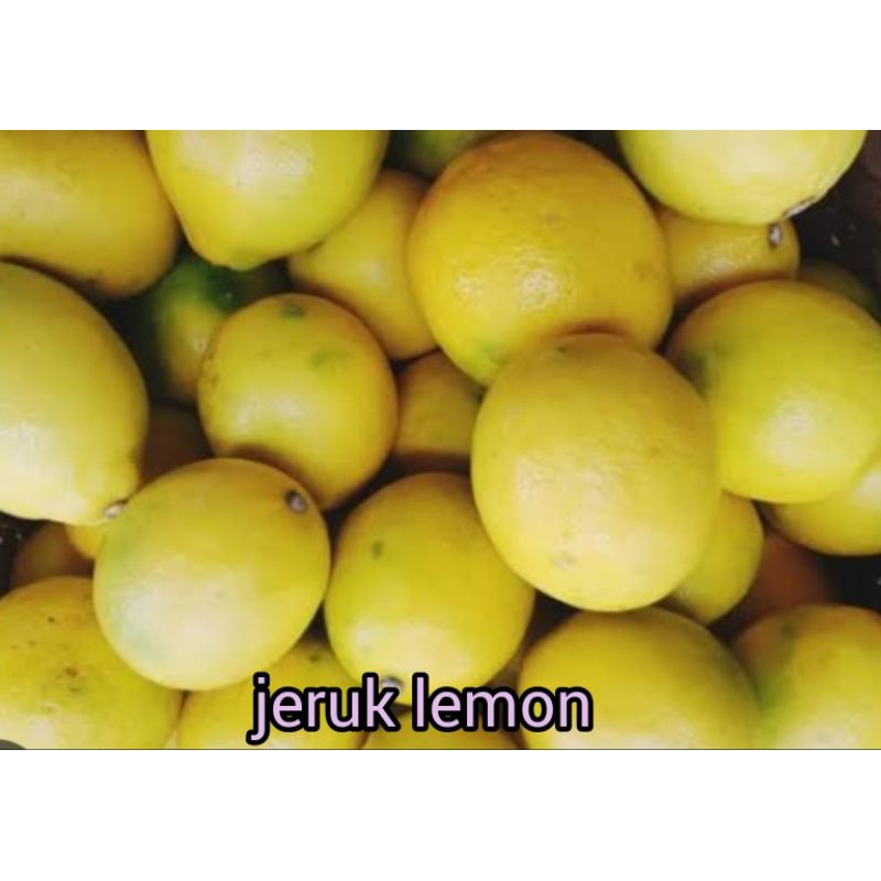 

JERUK LEMON SEGAR RP 8000 / 500 GRAM