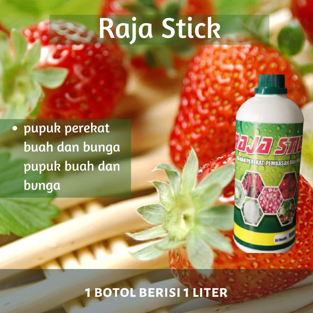 raja stick pupuk perekat buah dan bunga pupuk buah dan bunga 1 liter