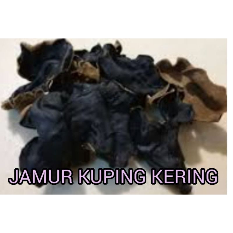 

JAMUR KUPING HITAM KERING RP 26.000 / 250 GRAM