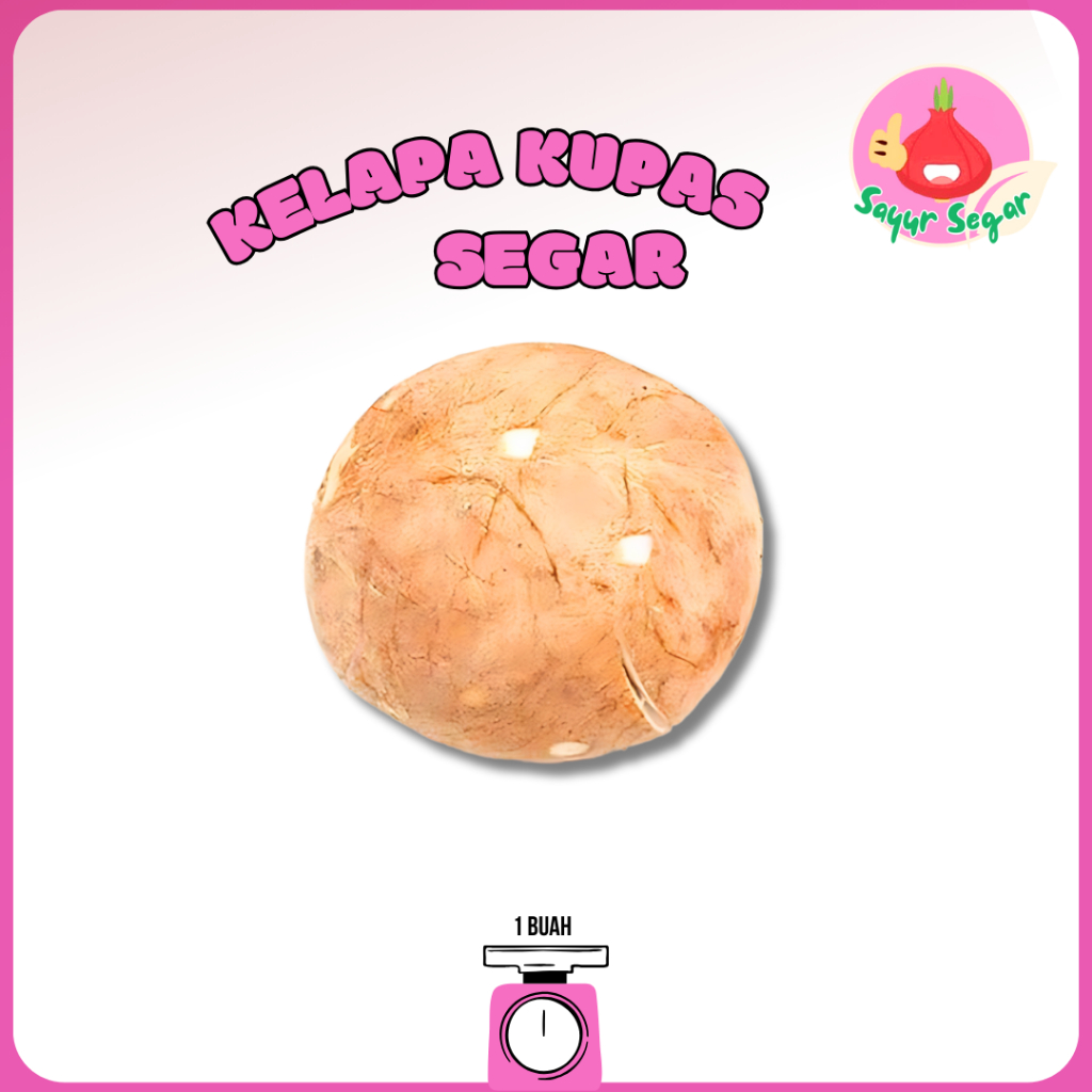 

Sayur Segar - Kelapa Kupas Bulat/Peeled Coconut 1 Butir