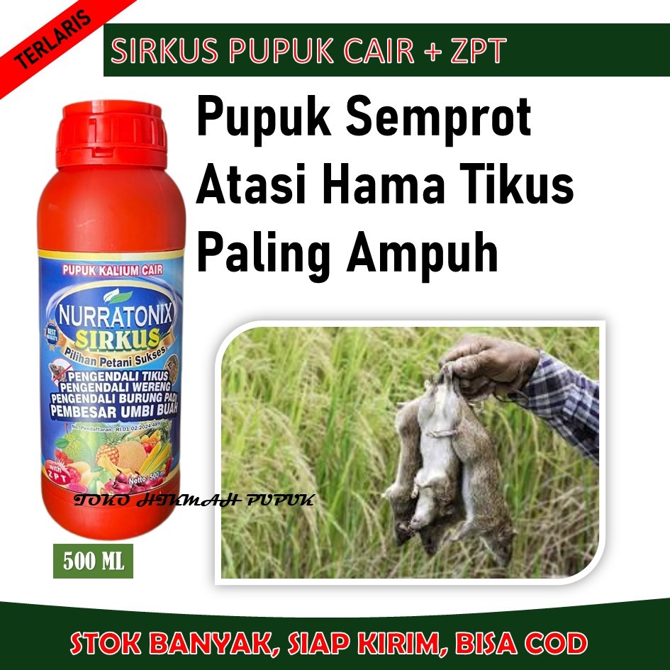(NEW) OBAT SEMPROT CAIR NURRATONIX SIRKUS 500 ML  Mengatasi Hama Tikus Sawah Dan Berbagai Jenis Tiku