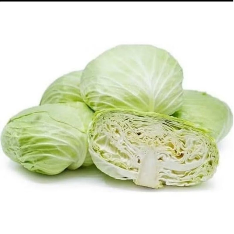 

SAYUR FRESH - KOL /KUBIS PUTIH