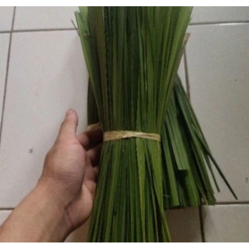 

Daun Alang alang fresh herbal alami,500grm