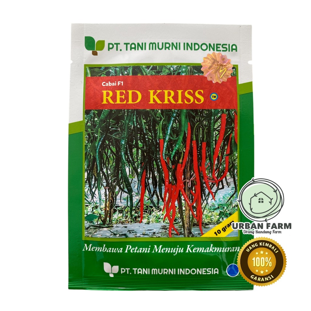 Benih Cabe Keriting F1 RED KRISS 10gram - Benih Cabai Keriting TM RED KRISS