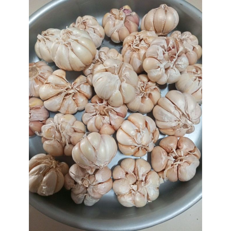 

BAWANG PUTIH BERSIH MURAH 1 KG