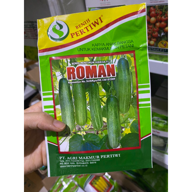 Benih bibit timun ROMAN 10 gram ketimun hibrida dari benih pertiwi
