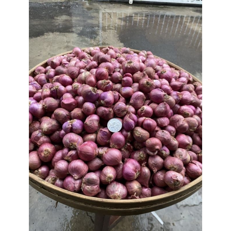 

bawang merah bima ukuran FULL besar 1kilo gram
