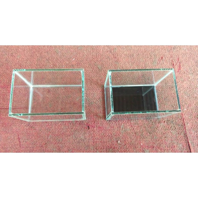 soliter cupang 15x10x10 aquarium mini kaca 5mm