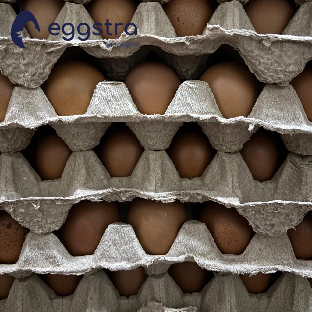 

IO Eggstra Telur Ayam Negeri 1 Tray Isi 30 Butir