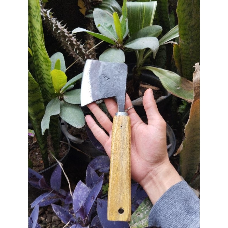 KAPAK alat kupas cangkang kulit kelapa