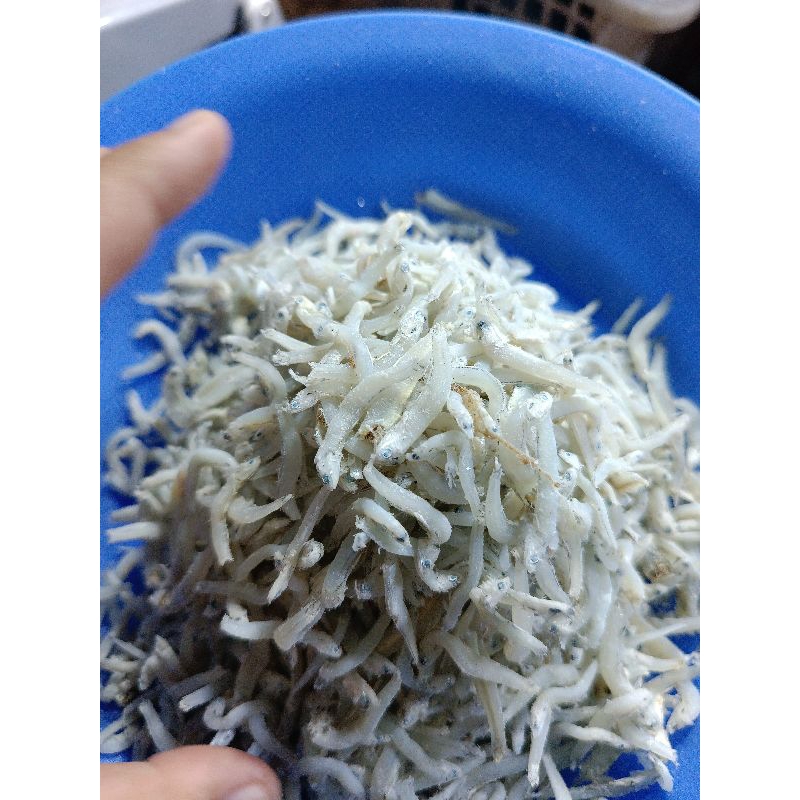 

AsdinaTeriMedan