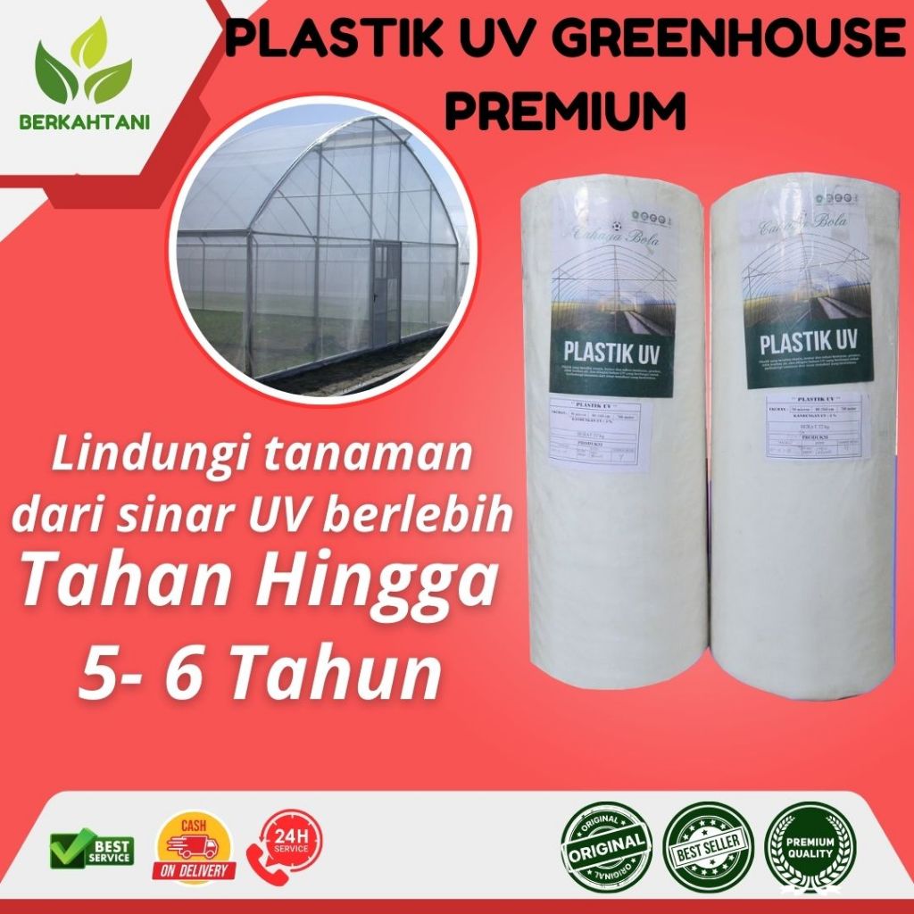 Plastik UV 5 Meter Lebar Plastik Green House Tebal 250 Micron Per Meter UV 14%