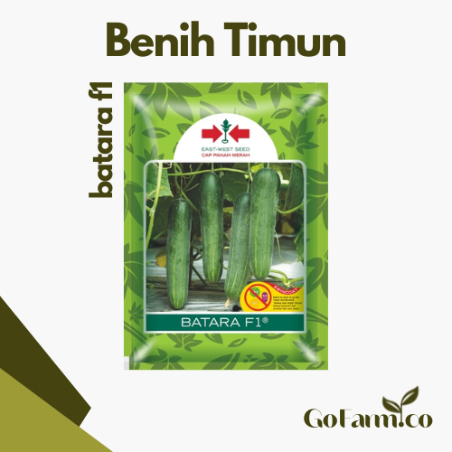 BENIH TIMUN/MENTIMUN BATARA F1 - Panah Merah