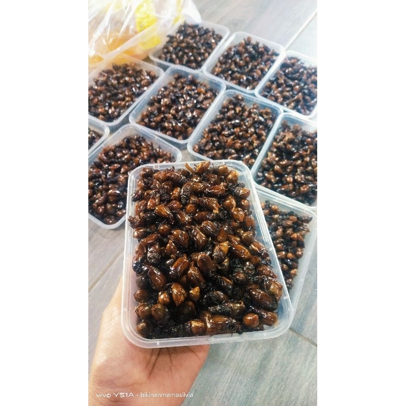 

PUTHUL RAMPAL KATIMUMUL SNACK CAMILAN GURIH KEMRIUK ENAK