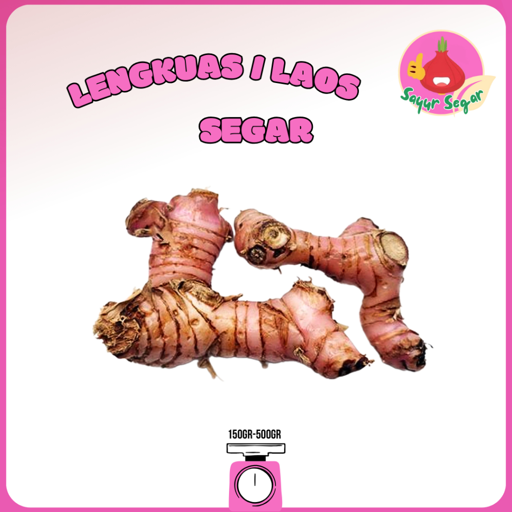 

Sayur Segar - Lengkuas/Laos/Galangal