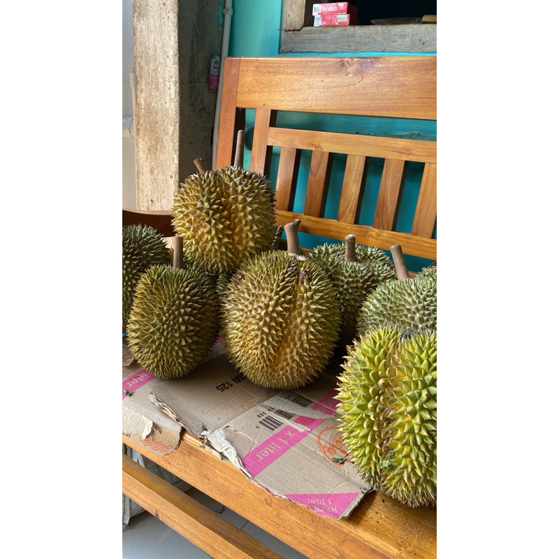 

Durian Petruk