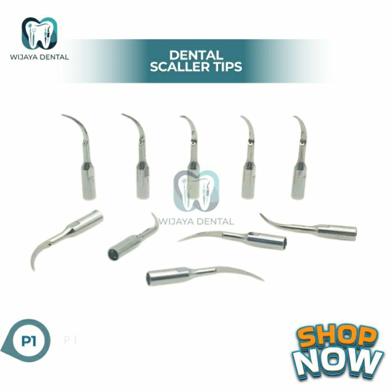 DENTAL TIP SCALER / SCALLER TI TIPS P1 UNIVERSAL SCALER (BUKA WOODPECKER) / DENTAL TIP TIPS SCALER S