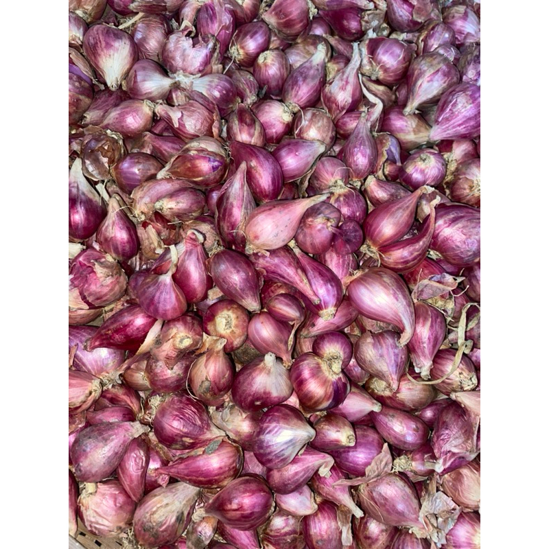 

Bawang Merah 500 Gram Murah