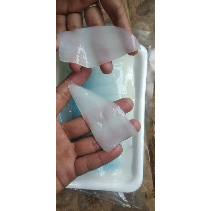 

Cumi Slice isi 10-12 potong