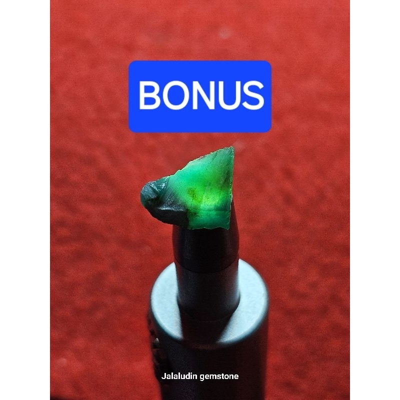 bacan coklat biru harga 160k + BONUS