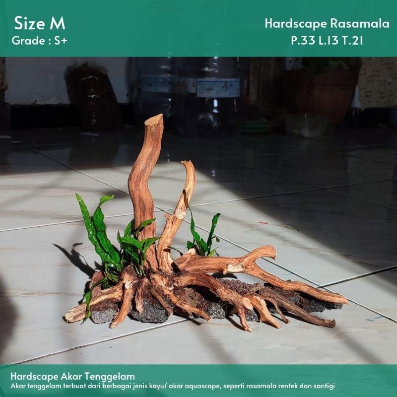 HARDSCAPE AKAR TENGGELAM SIZE M (Natural Style/Jungle) AKUARIUM/AQUASCAPE |Free Packing