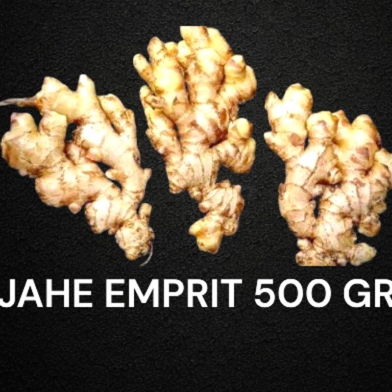 

JAHE EMPRIT TUA SEGAR 500 GRAM JAHE FRESS BERKUALITAS