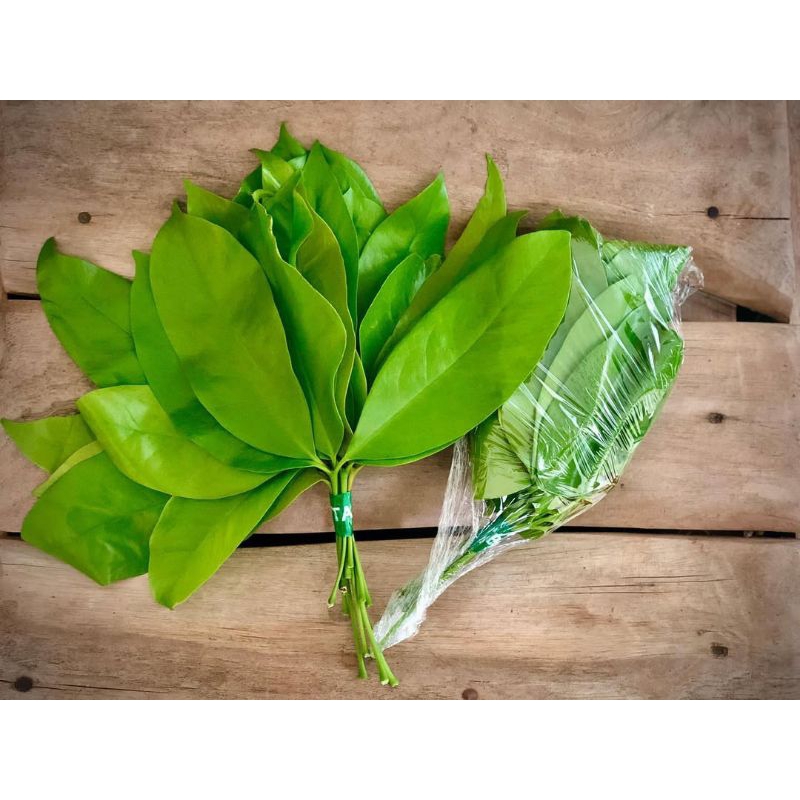 

Daun Salam 250 gram