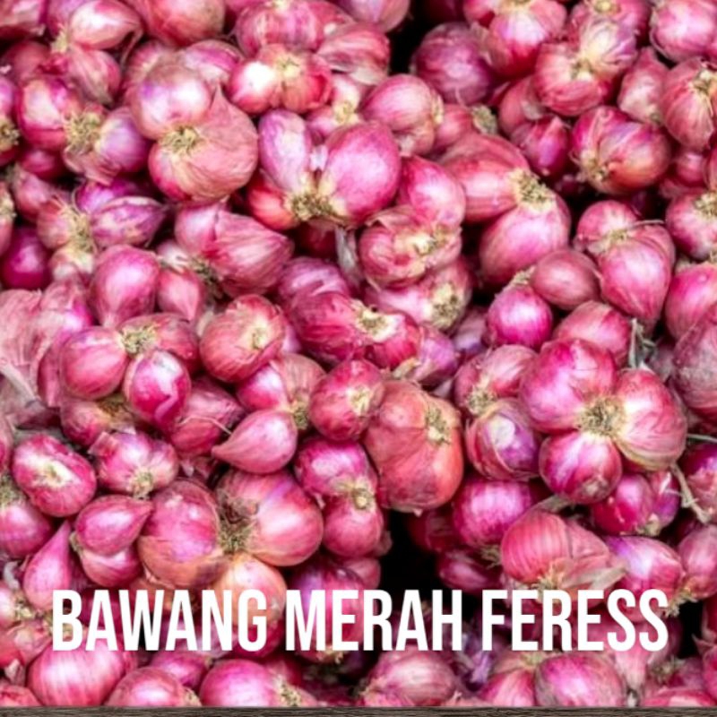

Bawang Merah/Bawang Merah Super/Bawang Merah 1/2kg - Bawangbagus