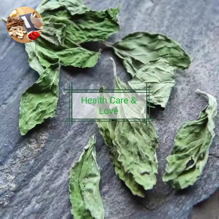 

Bao He Ye 薄荷叶 Bo Ho Ye Daun Mint Tea Spearmint BoHoYe 50 Gr