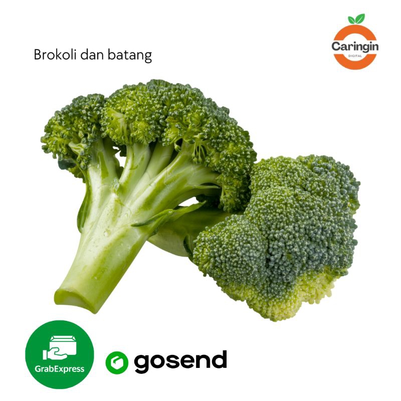 

Brokoli & Batang 1kg