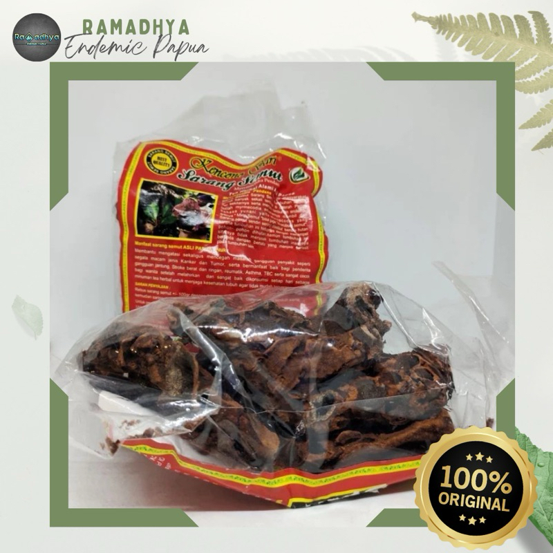 

Sarang Semut Asli Papua Original 100% Sarang Semut Asli Papua 100gram | Herbal Sarmut Papua Murni | Asli Obat Ambeien Jantung Rematik Kanker dan Tumor