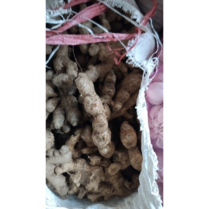 

jahe emprit 10kg