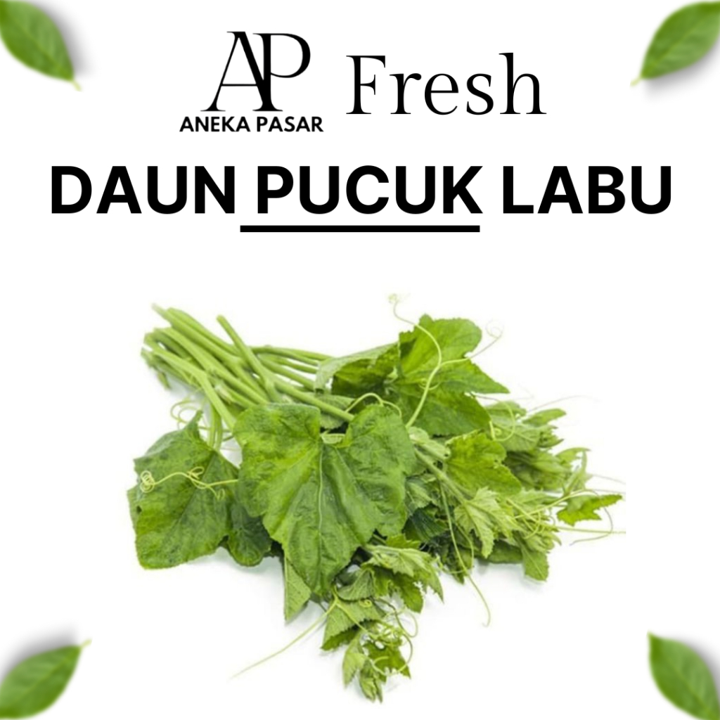 

DAUN PUCUK LABU - Per Ikat Sayur Sayuran Segar