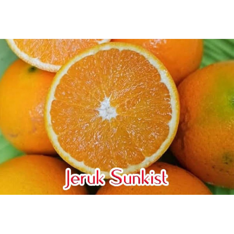 

PREMIUM!!! Jeruk Sunkist Import 1kg