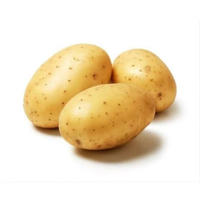 

Kentang Potato ukuran B kemasan 1kg (isi 7-11 biji)