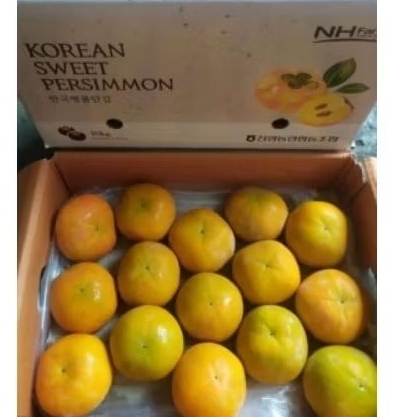 

BUAH PERSIMMON SWEET KOREA GIFT DUS -+10 KG